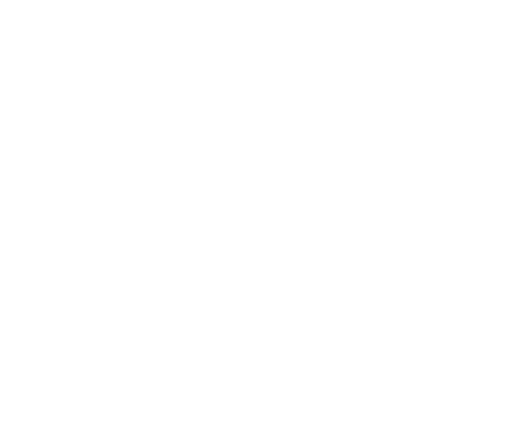 logo white